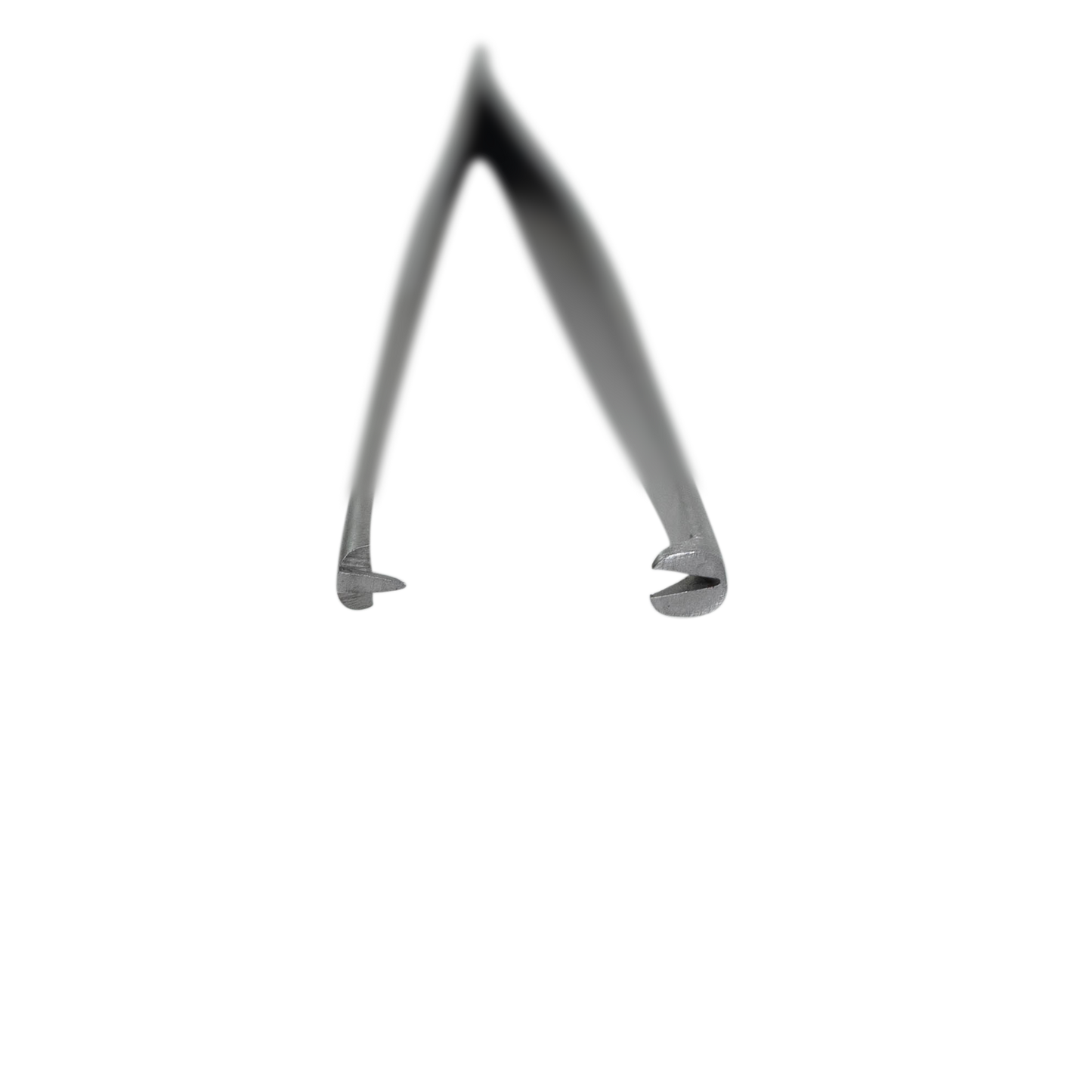 Rat Tooth Tissue Forceps